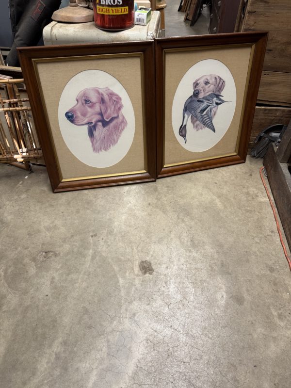 Pair of Framed Birddog Prints - Image 2