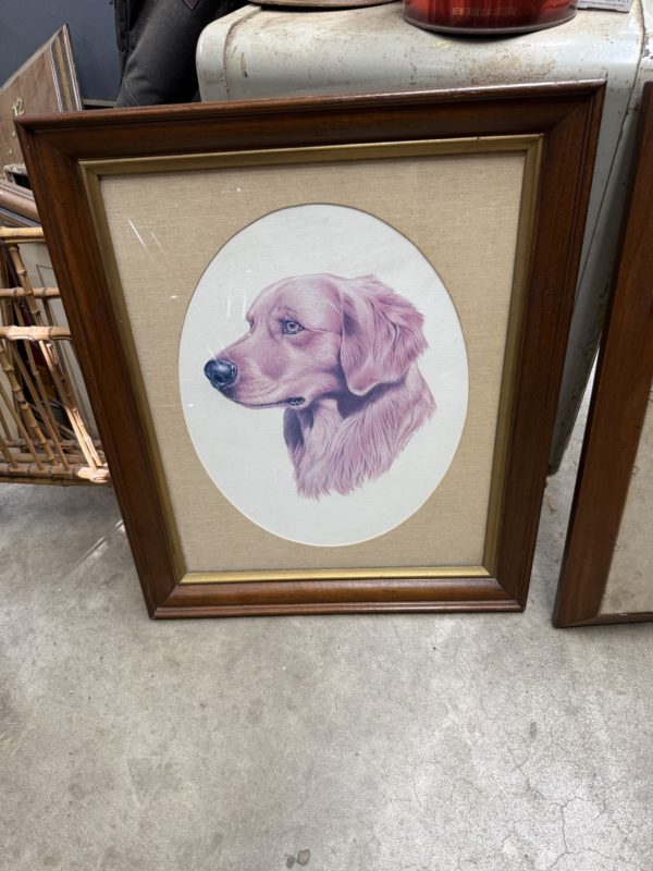 Pair of Framed Birddog Prints - Image 3