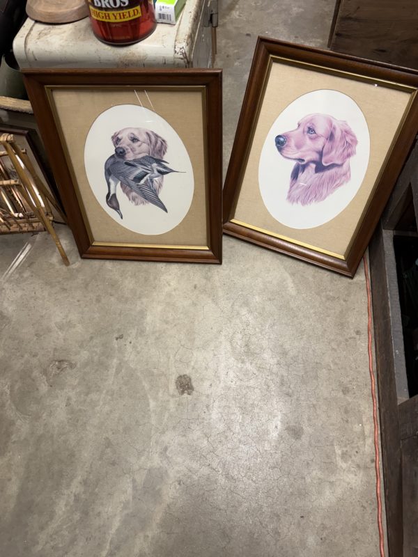 Pair of Framed Birddog Prints - Image 5